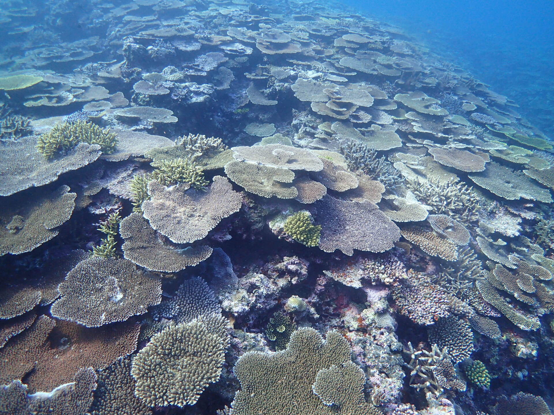 宮古島・伊良部島