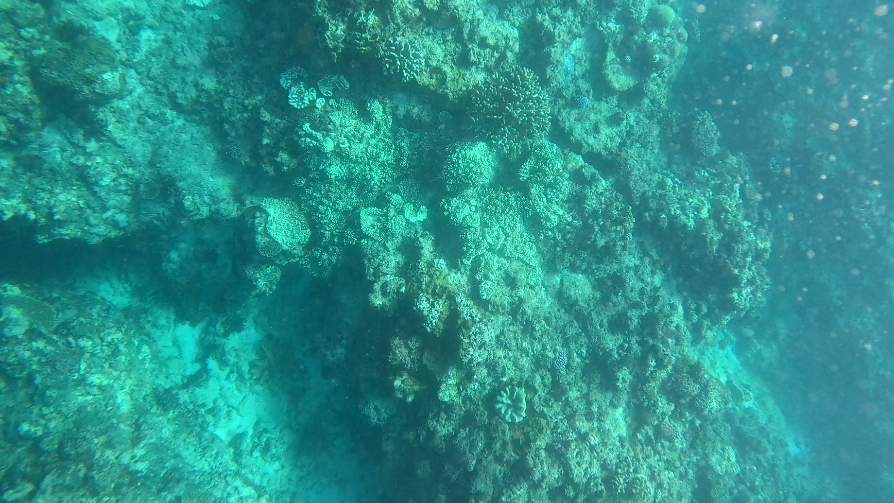 多良間島・水納島
